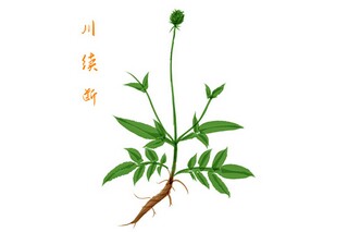 离世绝俗成语解释（离世的含义）