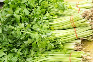 古诗中的春初中作文(古诗中的春初中作文怎么写)