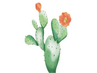 日常生活用品的谜语_日常生活用品谜语大全及答案