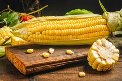拔河比赛领导开场白_拔河比赛开场白