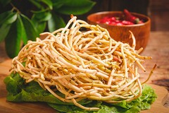 狼犬历险记电影观后感