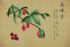 教师说课技巧及说课稿_教师说课稿10分钟范例