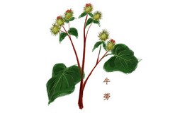 学习部个人工作总结范文