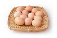 委托合同法律规定