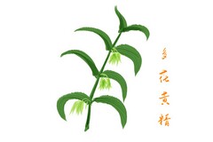 小学自然教师年终工作总结_小学教师学年工作总结