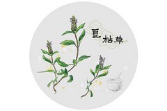 总结会议串词_会议串场总结