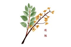 财务出纳人员工作总结个人