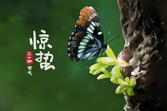 小学生期末评语顺口溜