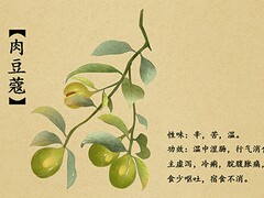 寒假实习报告怎么写