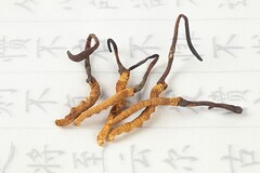 挑战自己成功的作文