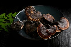公司食堂劳务合同