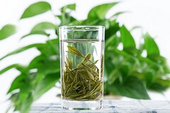 护士节回顾经典