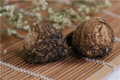 实施方案和可行性研究报告