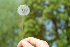 经典生活句子朋友圈