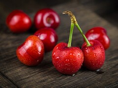 师范生简历自荐信_师范生自荐书