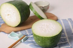 生物类专业实习报告