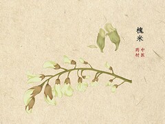 土木实习报告_土木实习报告