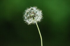 2022年五四青年节活动主持稿_五四青年节活动主持稿