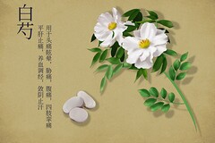 盼望亲情团聚的诗句