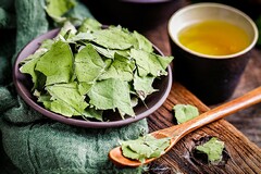免费工作安排app_免费工作计划软件的