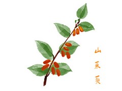 早教中心毕业典礼园长致辞