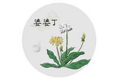 学习计划作文200字初三