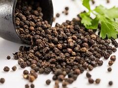 中职语文课听课记录怎么写_中职语文听课记录