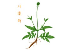 美术教师年度个人工作总结200字