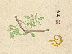 幼儿园教师个人学期末的工作总结(幼儿园教师学期末个人工作总结)