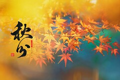 合作经营协议书范本二人