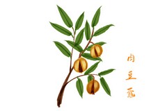 一年级上册语文《画》教案(培智生活语文一年级教案)
