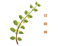 大四学姐面试自我介绍
