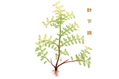 酒店员工个人辞职报告_酒店员工个人辞职报告