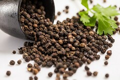 高中音乐歌唱教学计划