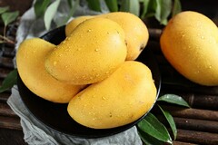 初中英语教师述职
