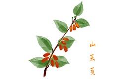 个人考核自我评价范文
