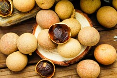 大班的工作计划_大班的工作安排
