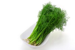 教师个人培训的心得(教师培训心得通用)