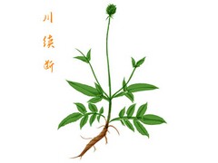高中考试作弊检讨书_学生考试作弊检讨书9篇