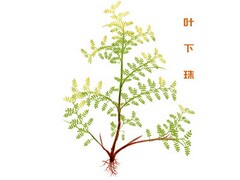 成熟个性朋友圈说说文案