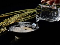 主管申请书范文