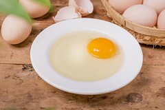 住宅用房租房合同
