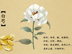 描写秋天的诗句月落乌啼霜满天